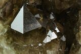 Smoky Citrine Crystal Cluster - Lwena, Congo #128424-3